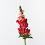 Snapdragon