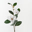 Magnolia Spray