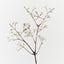 Blossom Cherry Spray