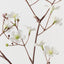 Blossom Cherry Spray
