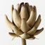 Artichoke Stem
