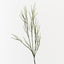Twig Coral Spray