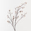Tallow Spray