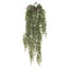 12 x Fern Jewel Hanging Bush