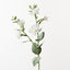 Lisianthus Spray