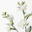 Lisianthus Spray