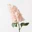 Hydrangea Cone