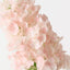 Hydrangea Cone