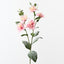 Lisianthus Spray