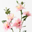 Lisianthus Spray