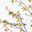 Enkianthus Leaf Spray