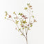 Enkianthus Leaf Spray