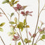 Enkianthus Leaf Spray