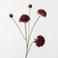 Dahlia Spray