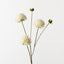 Dahlia Spray