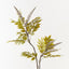 Lacquer Leaf Spray