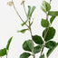 Rose Leaf Spray