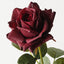 Rose Bettina