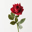 Rose Bettina