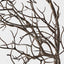 Twig Curly Spray
