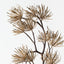 Thistle Spray