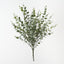 Eucalyptus Bush