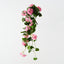 Geranium Hanging Bush (Set of 6)
