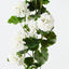 Geranium Hanging Bush (Set of 6)