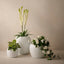 Geranium Hanging Bush (Set of 6)