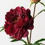 Peony Spray