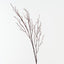 Twig Cottonwood Spray