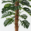 Monstera Plant on Pole
