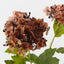 Hydrangea Spray