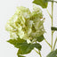 Hydrangea Spray