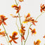 Orchid Oncidium Spray