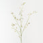 Orchid Oncidium Spray