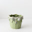 Pattaya Pot