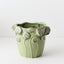 Pattaya Pot