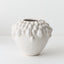Aili Pot