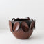 Olavo Pot