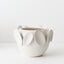 Olavo Pot
