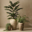 Caldera Pot