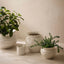 Favaro Pot (Set of 2)