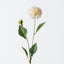 Pompon Dahlia Spray (Set of 12)