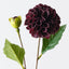 Pompon Dahlia Spray (Set of 12)