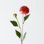 Pompon Dahlia Spray (Set of 12)