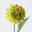Pompon Dahlia Spray (Set of 12)