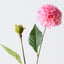 Pompon Dahlia Spray (Set of 12)
