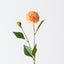 Pompon Dahlia Spray (Set of 12)