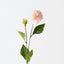 Pompon Dahlia Spray (Set of 12)